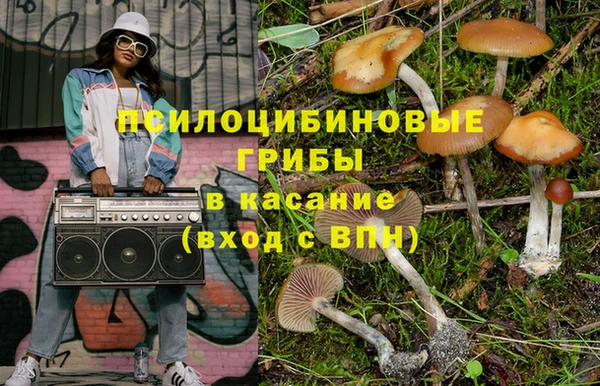 индика Баксан