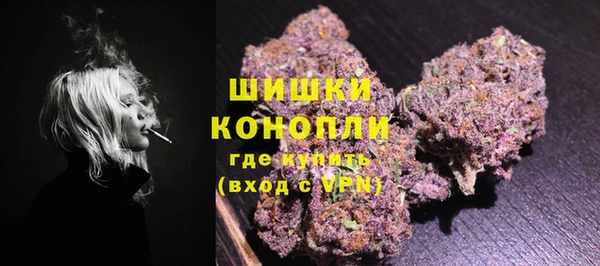 индика Баксан