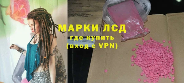 индика Баксан