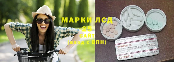 индика Баксан