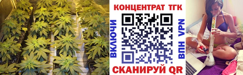 ТГК Wax  Сегежа 