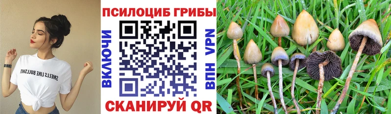 Псилоцибиновые грибы Magic Shrooms  купить наркотики цена  Сегежа 