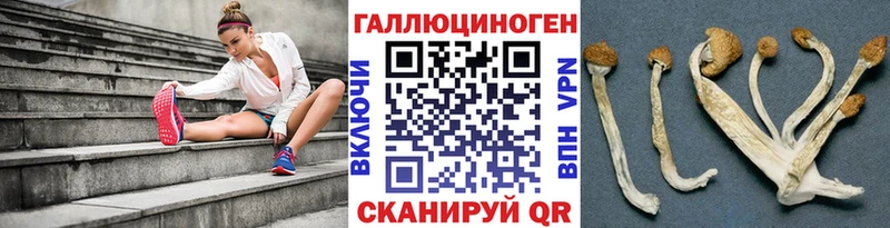 Псилоцибиновые грибы мухоморы Сегежа